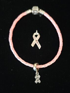 Pandora Pink Awareness Ribbon Bracelet and Additional Necklace or Bracelet Charm